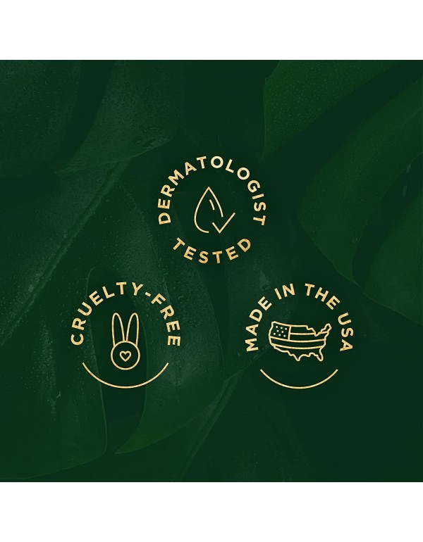 Tree of Life Vitamin C, Retinol and Hyaluronic Acid serum for Brightening, Firming, & Hydrating for Face - 3 Ct x 1 Fl Oz - Total Skin Reset, Anti Aging , Dark Spot Correcting